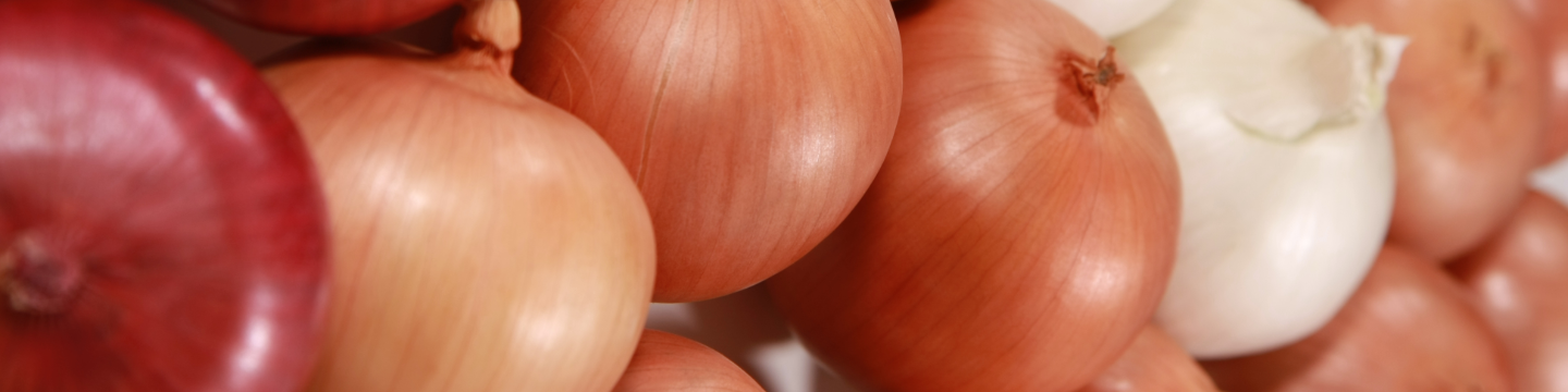 Bybee Produce, LLC 186