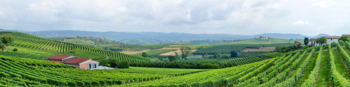 PCB Global Trade Management 268