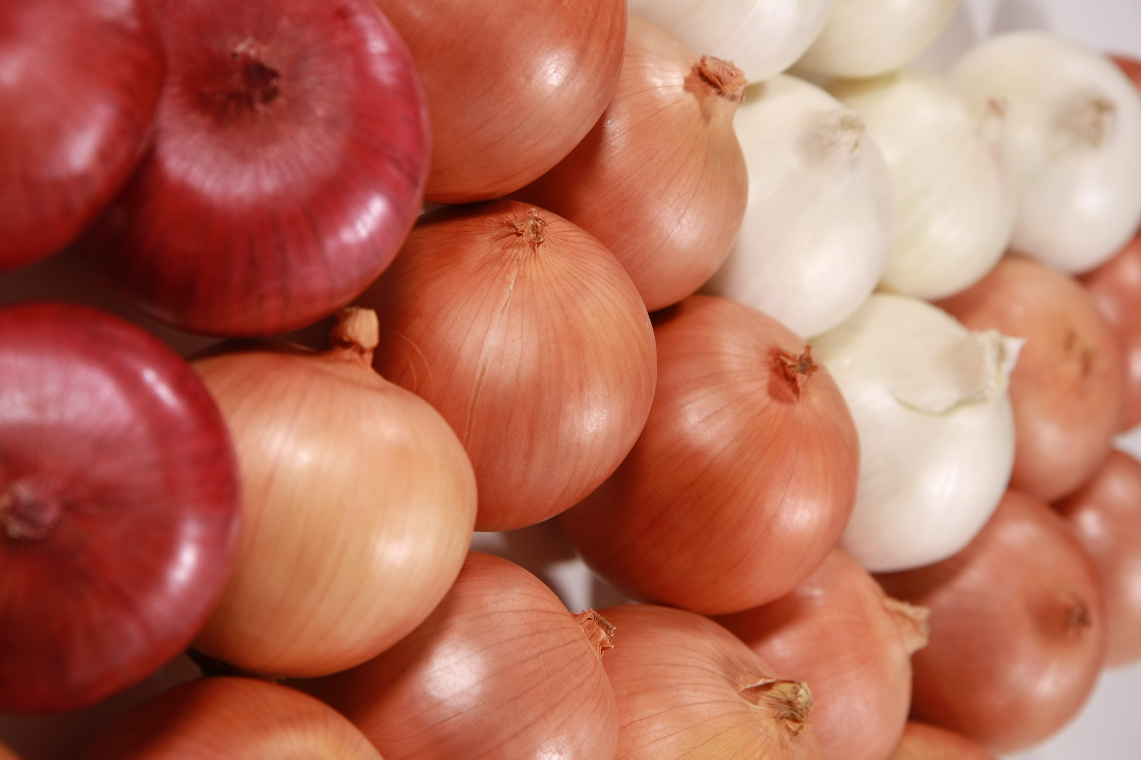 Fresh Onions - Yellow, White, Red, & Sweet 182