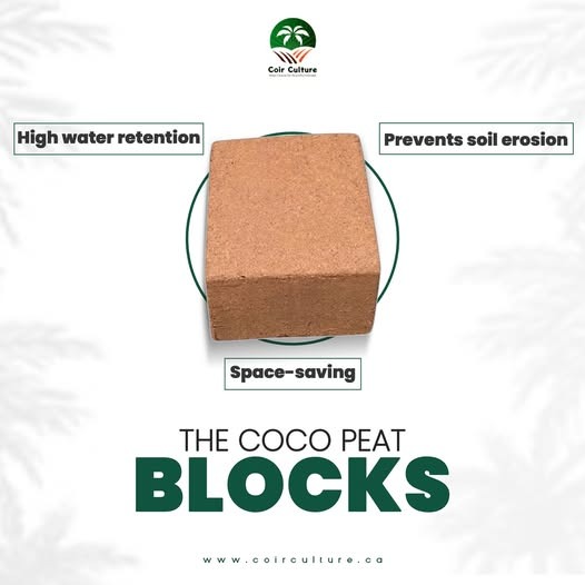 5Kg Coco Peat Blocks 234