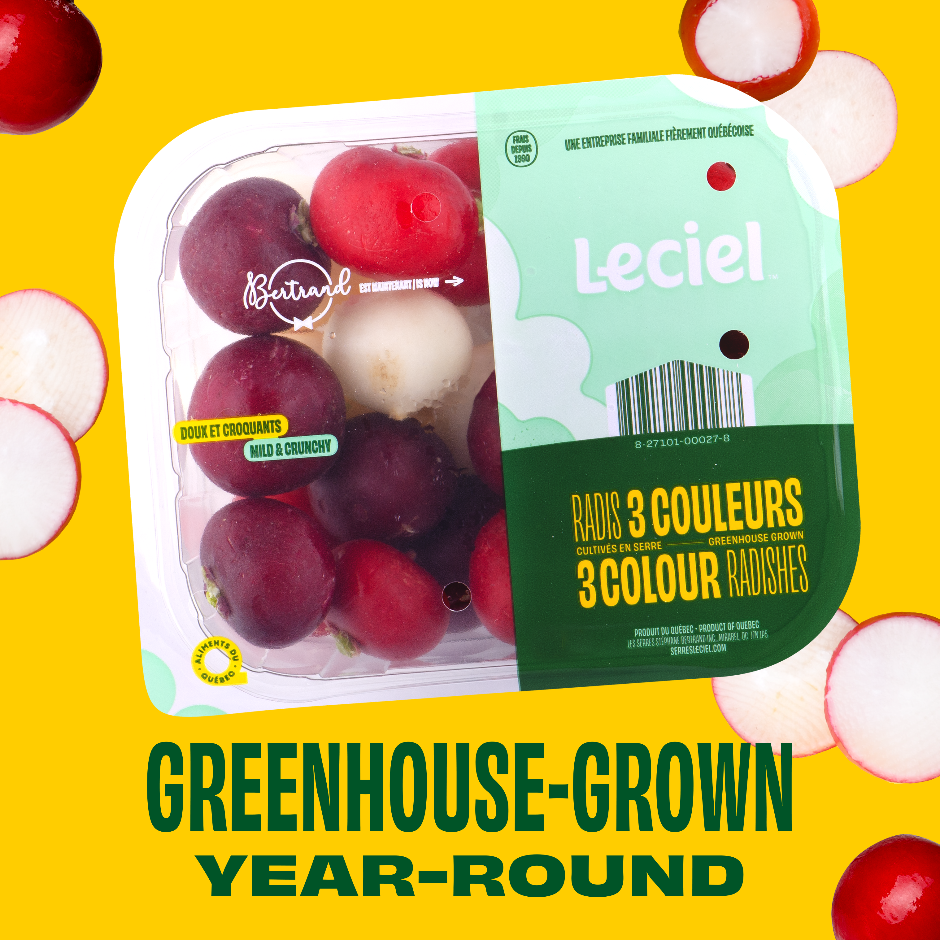 3 colour radishes - Top Seal 242