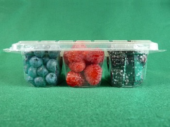 3 Compartment Clamshell 262