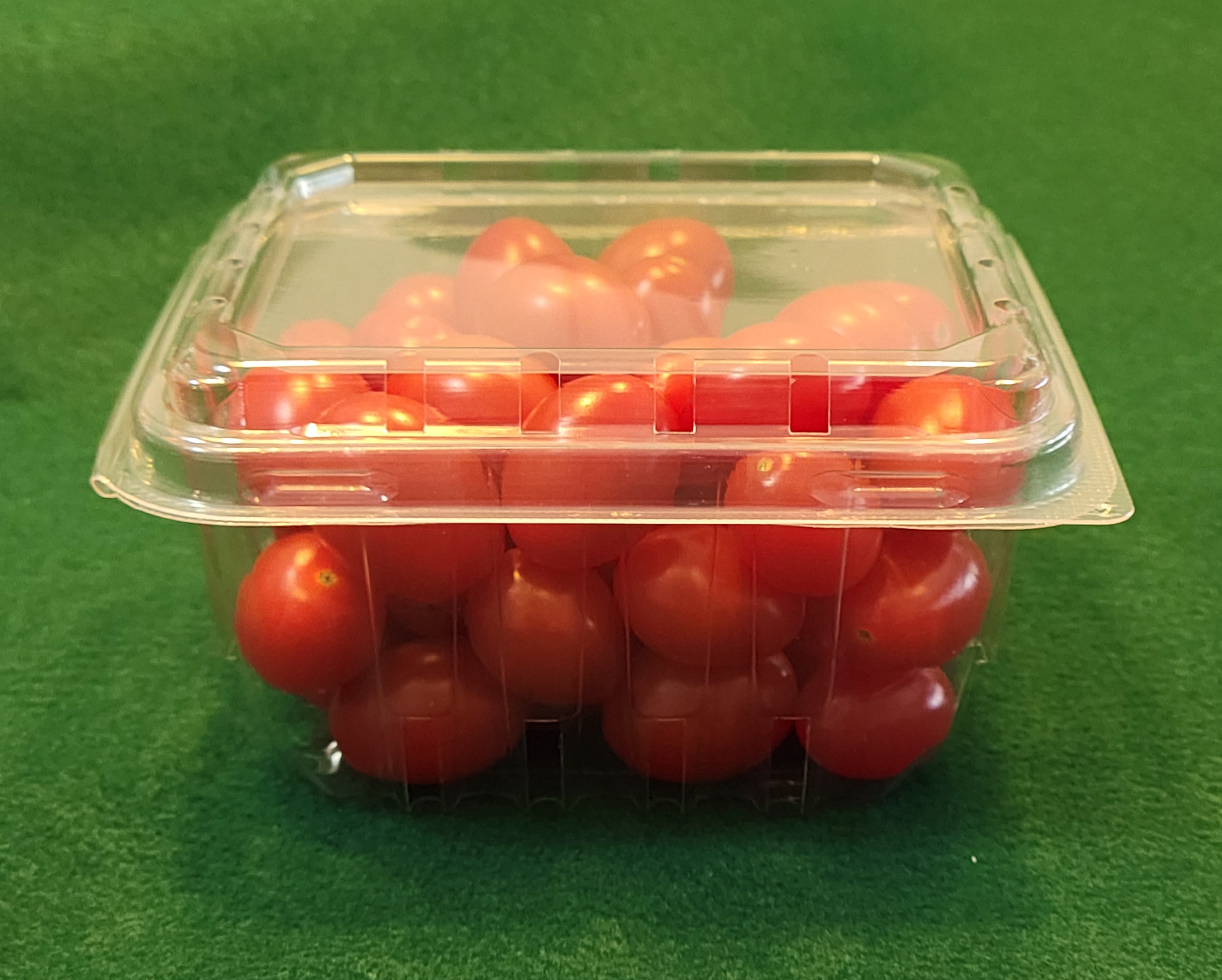 1 US Pint Clamshell 263