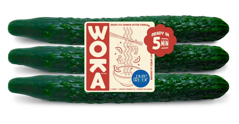 WOKA™ The Stir Fry Cucumber 326