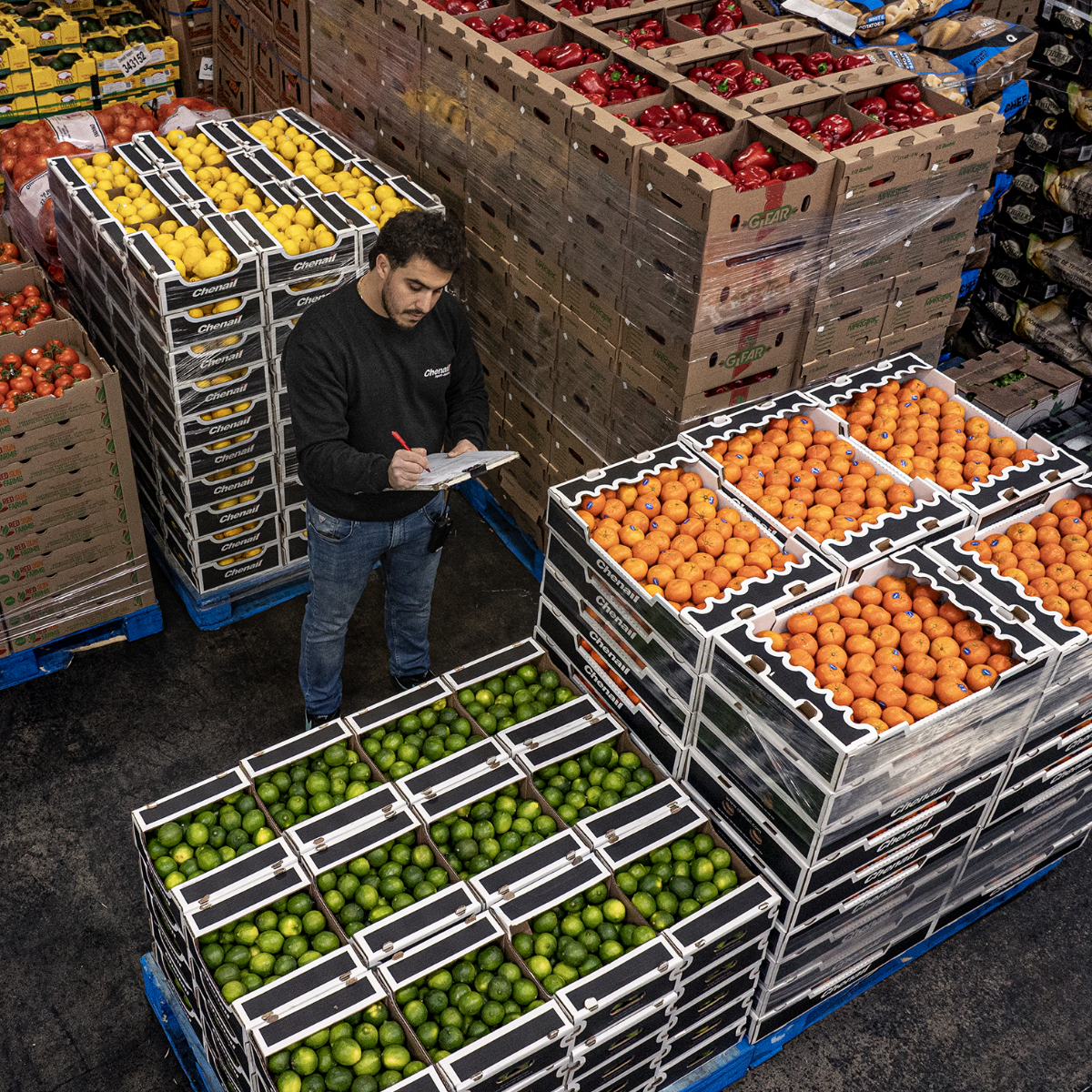 Chenail Import-Export :: Corporate Presentation 44