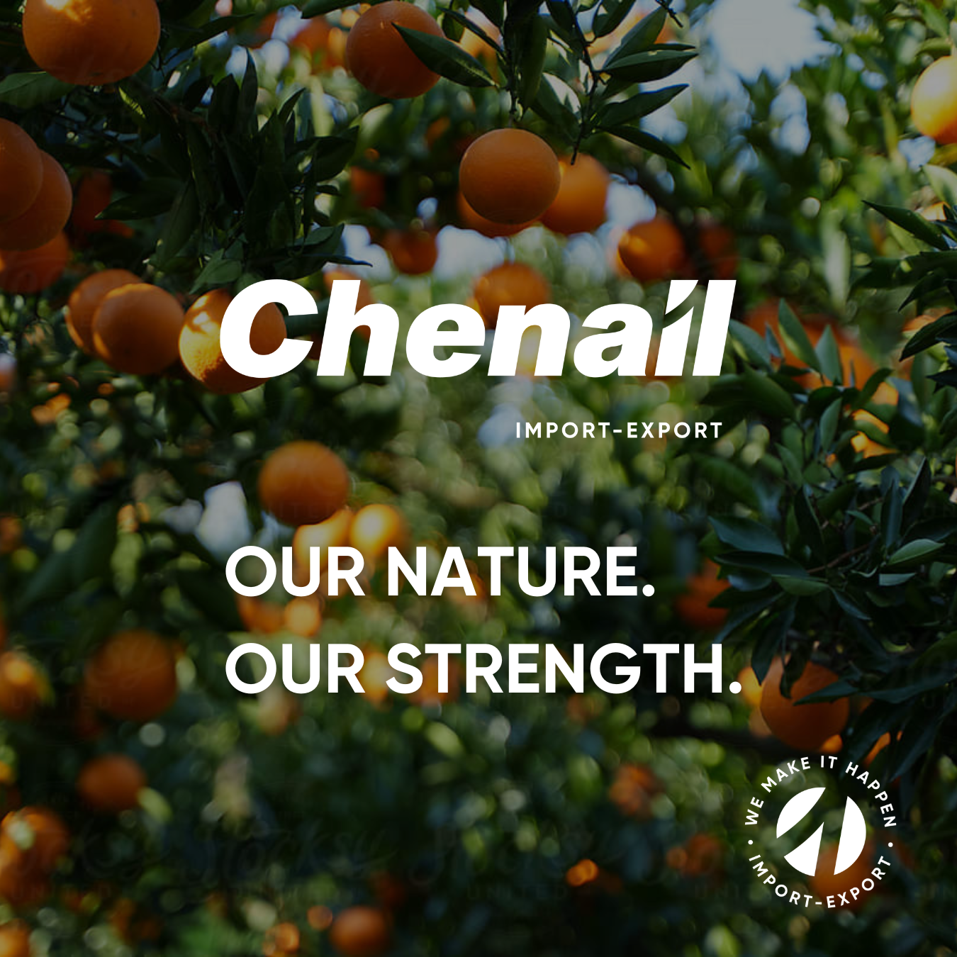 Corporate Factsheet :: Chenail Import-Export 54
