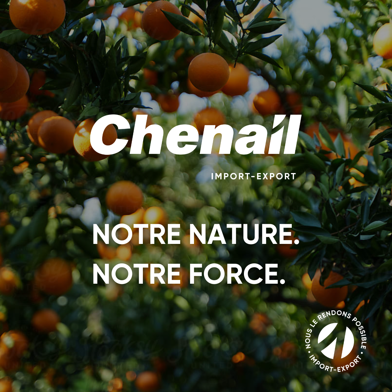 Feuillet corporatif :: Chenail Import-Export 55