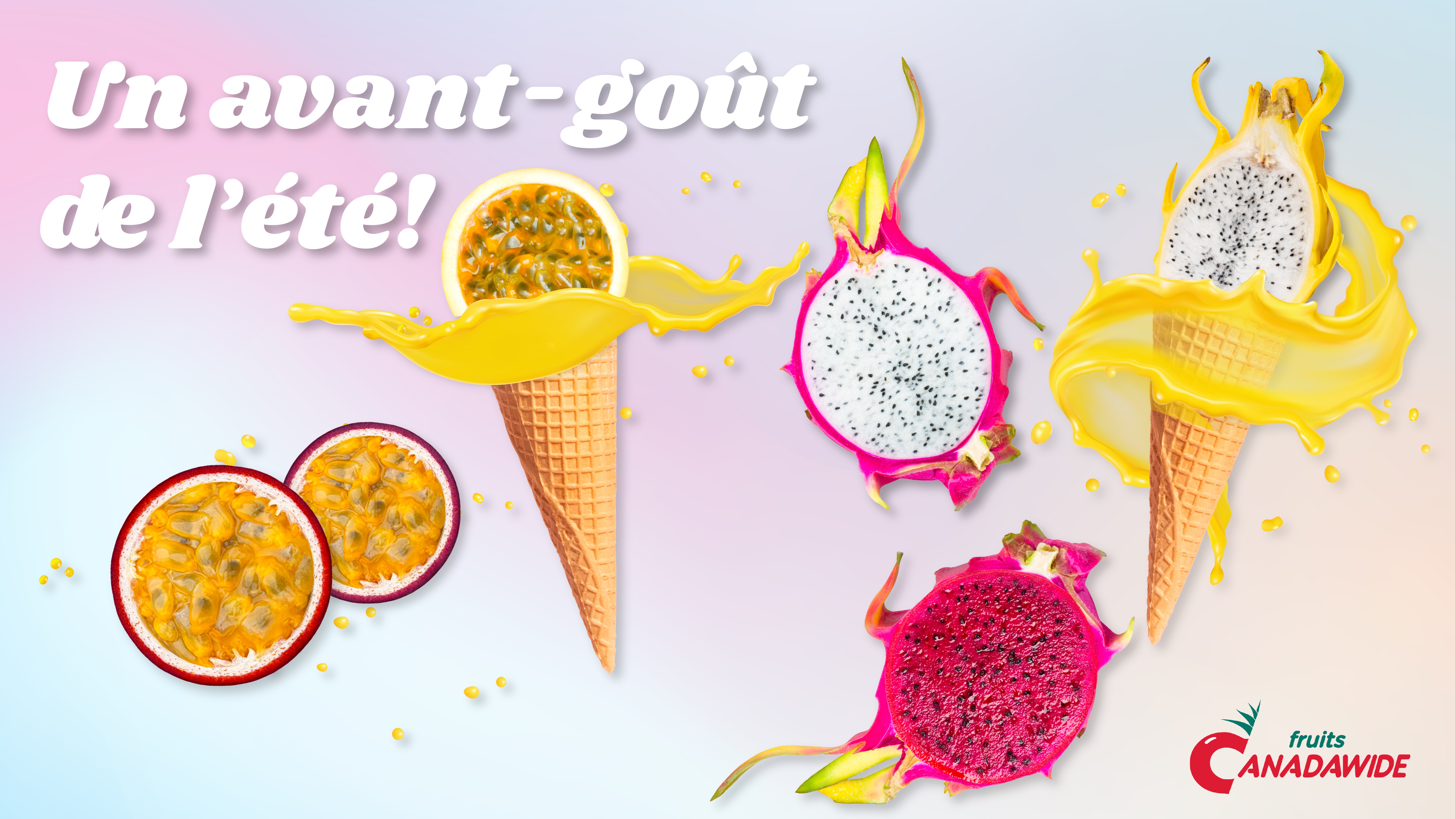 Un avant-goût de l’été! 91