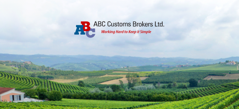 Supply Chain Audit 94