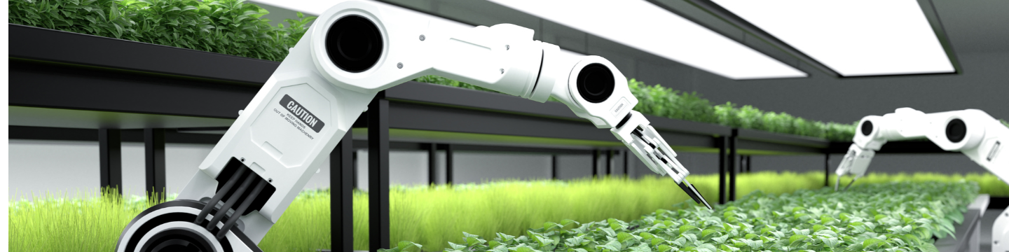 Innovation Zone 16