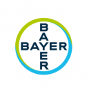 Bayer Vegetable Seeds 317