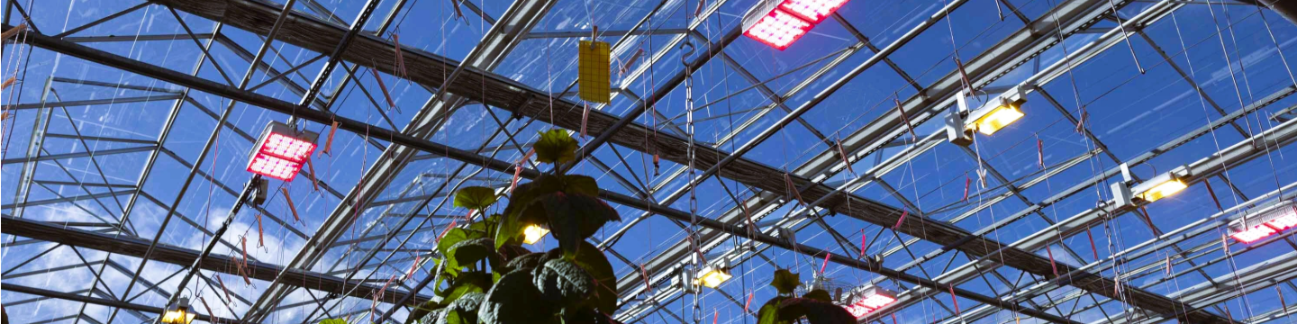 Gavita International BV 318