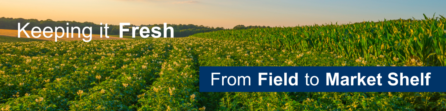 Volm Companies, Inc. 58