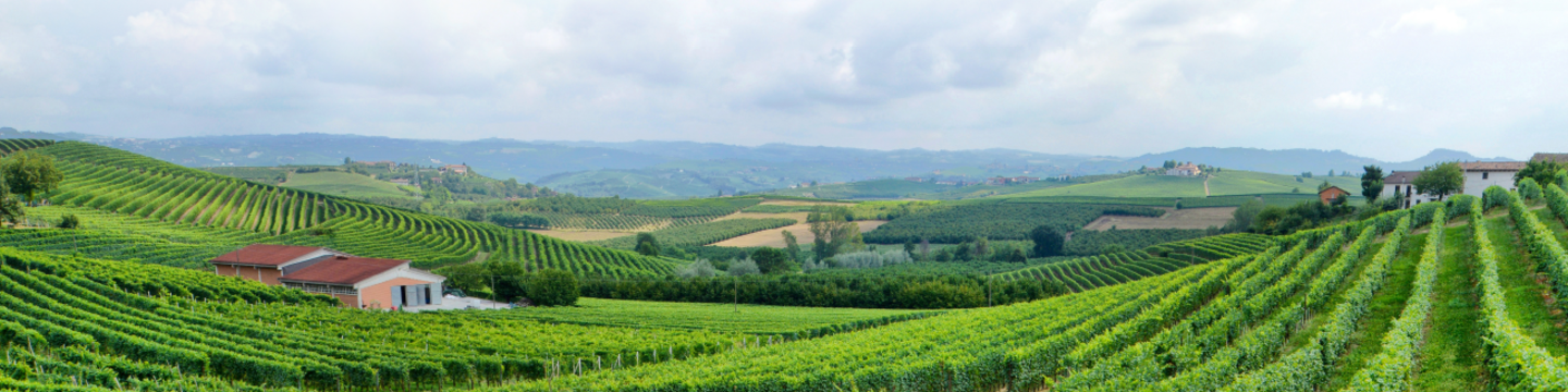 ABC Customs Brokers 78