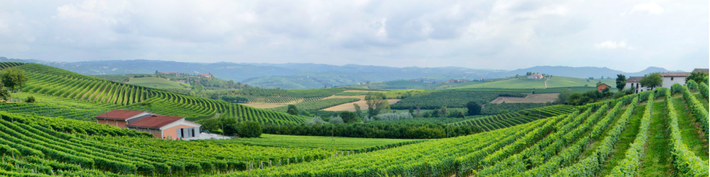 PCB Global Trade Management 82