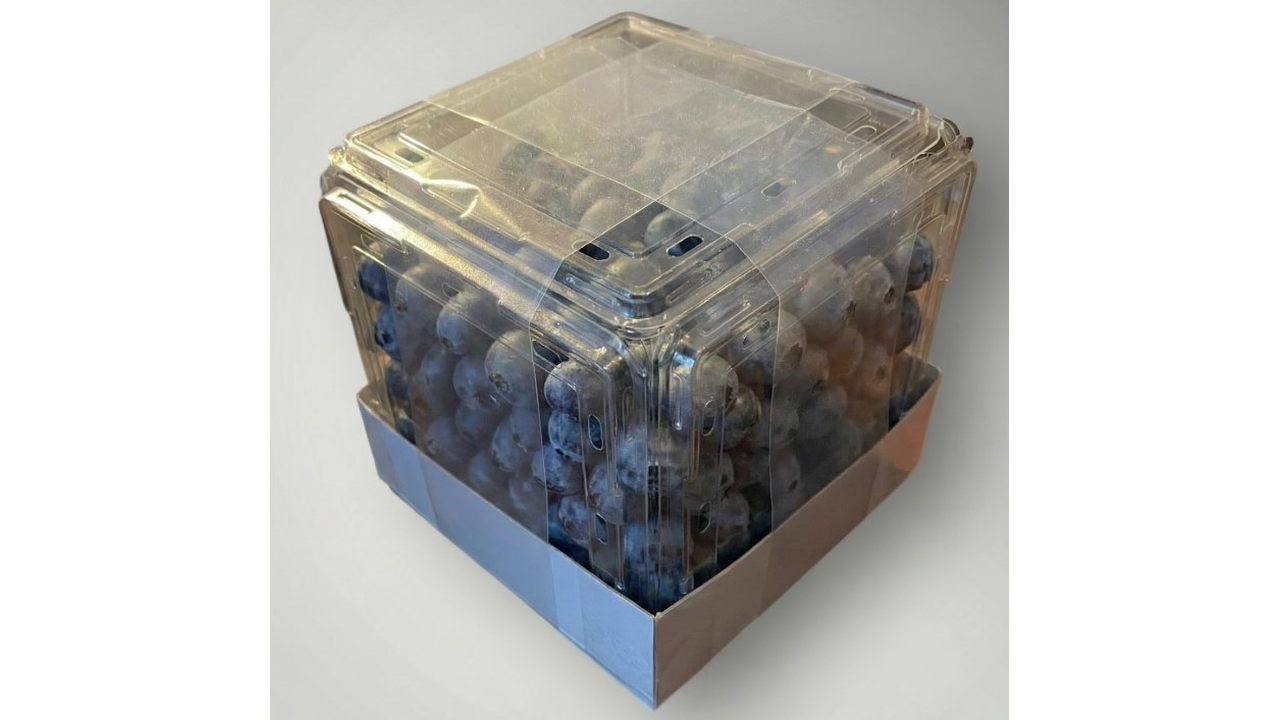 Q-Bic Blueberry & Grape Tomato Club Store Snack Pack from NNZ 151