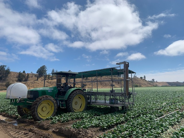 Beachside - Vegetables we Grow! 181