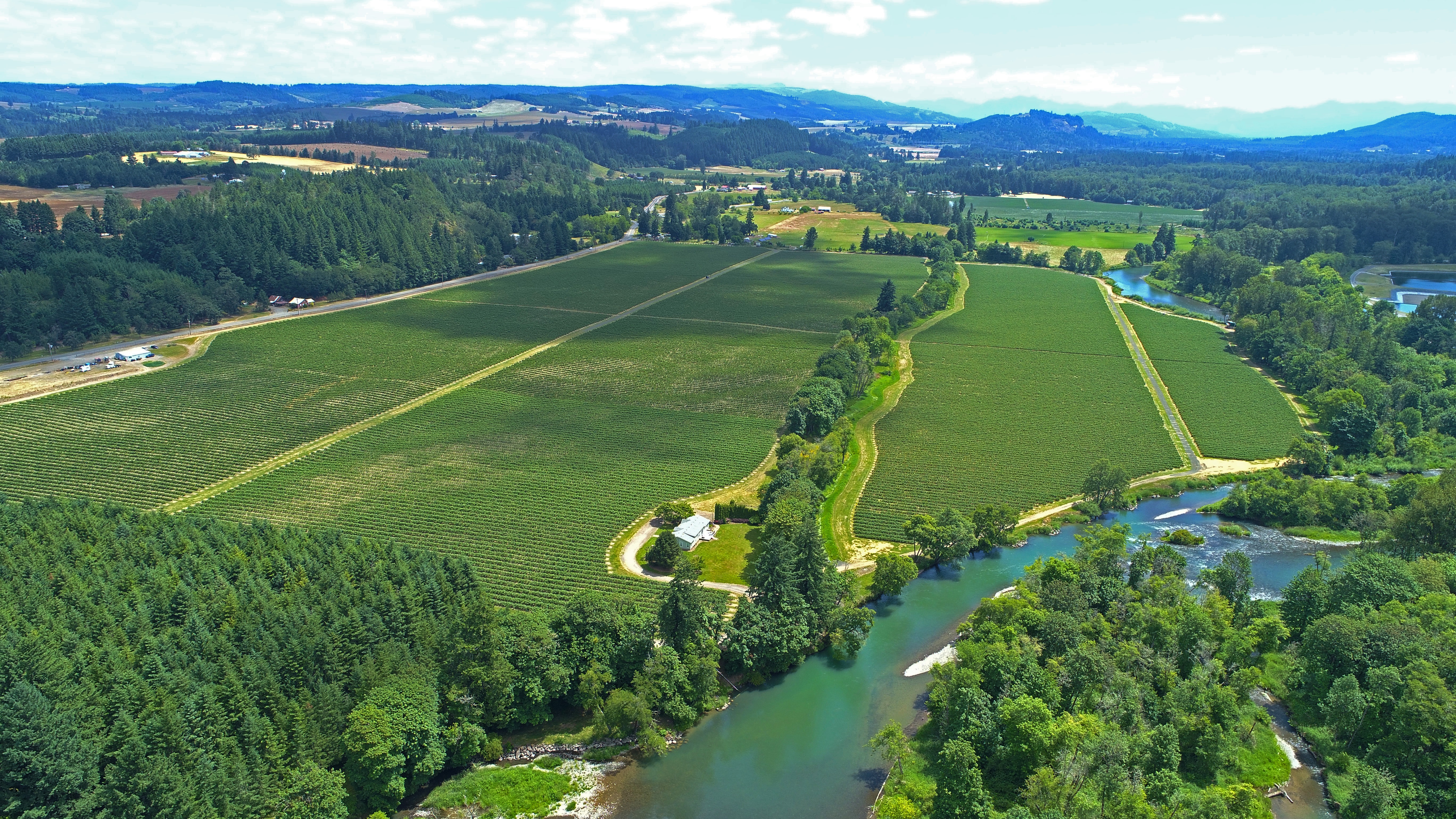 Fresh Blueberries, Blackberries and Raspberries 205