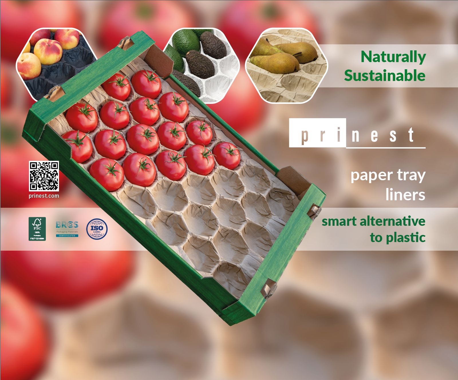 Prinest Paper Trays 301