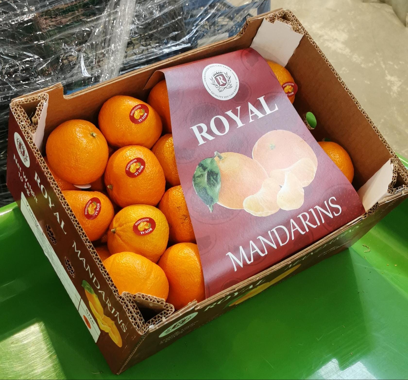 Royal Egyptian Kinnow 387