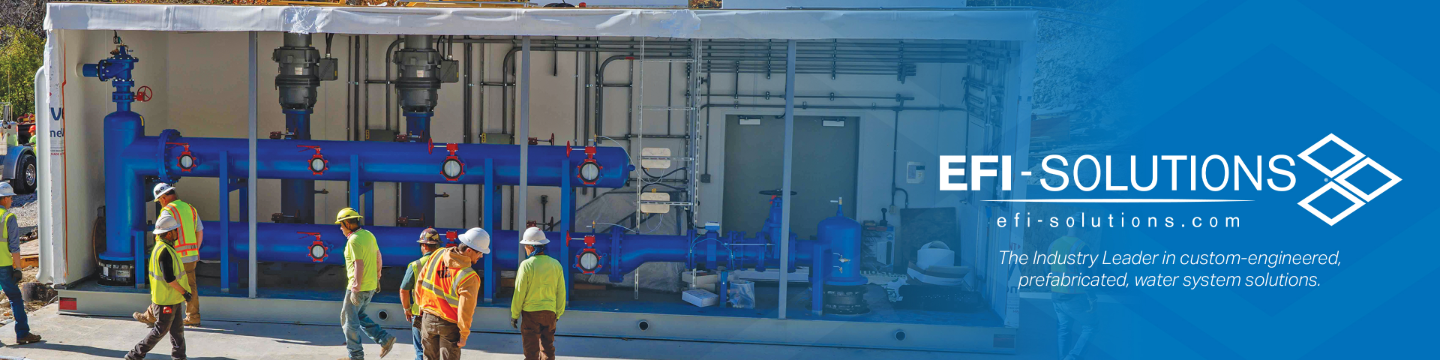 EFI-Solutions, Inc. 96