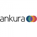 Ankura Consulting Group 39