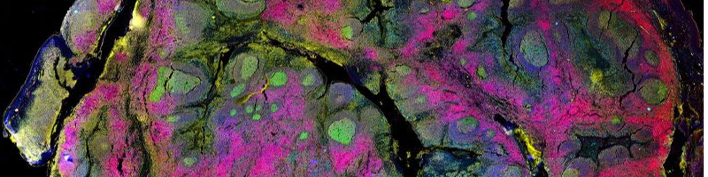 Canopy Biosciences — A Bruker Company 53