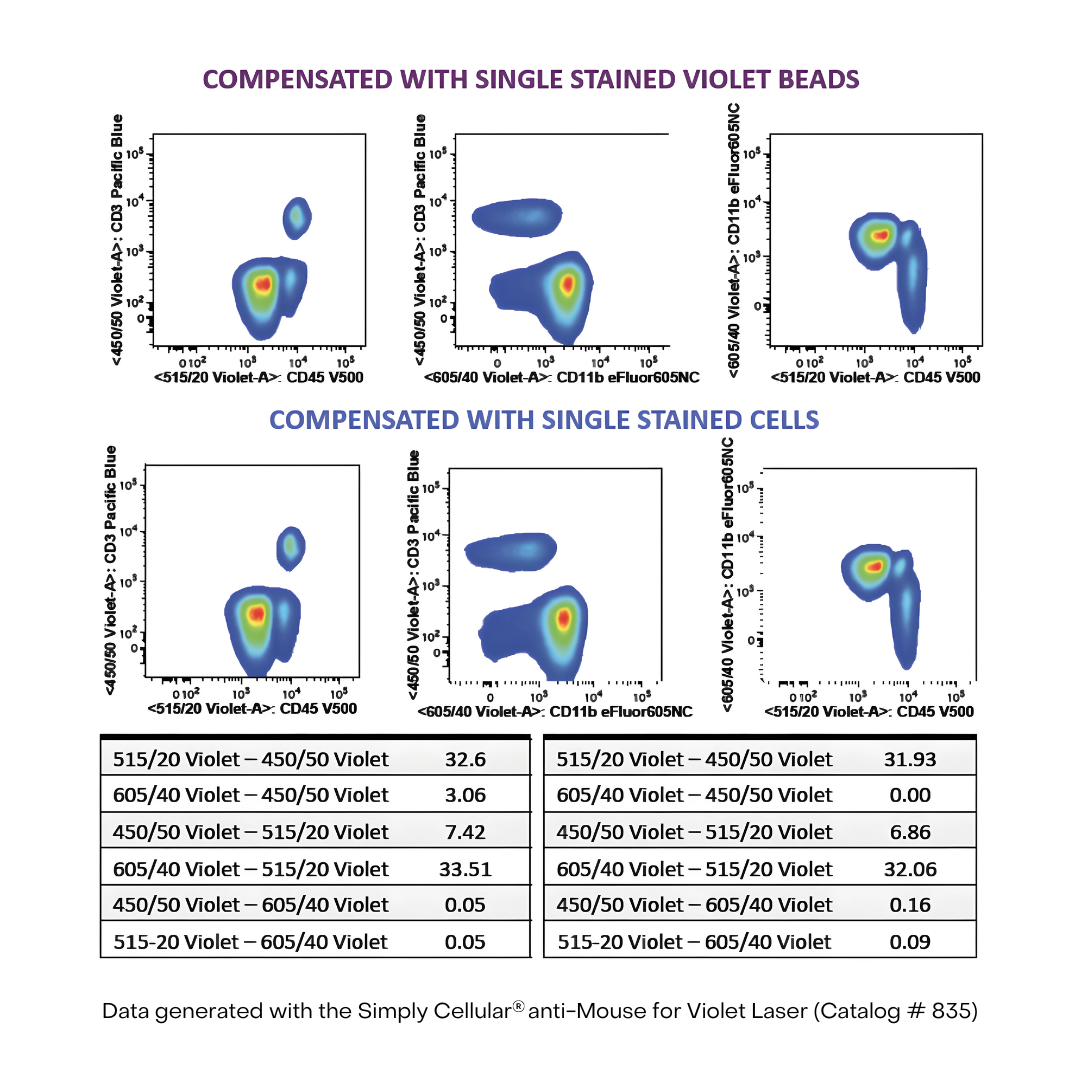 Compensation Controls 38