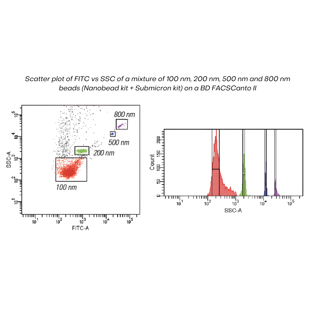 Microvesicle Analysis 40