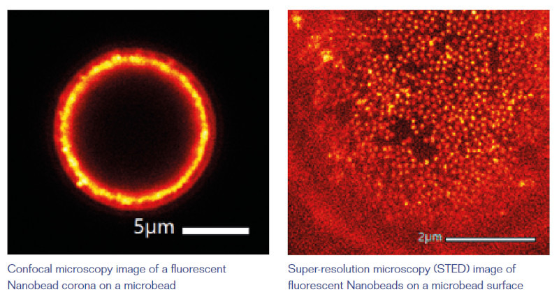 Spectrum Calibration Nanobeads 44