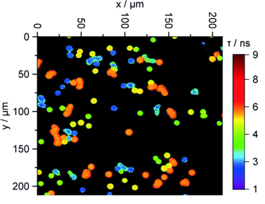 Beads for Fluorescence Lifetime Imaging (FLIM) 51