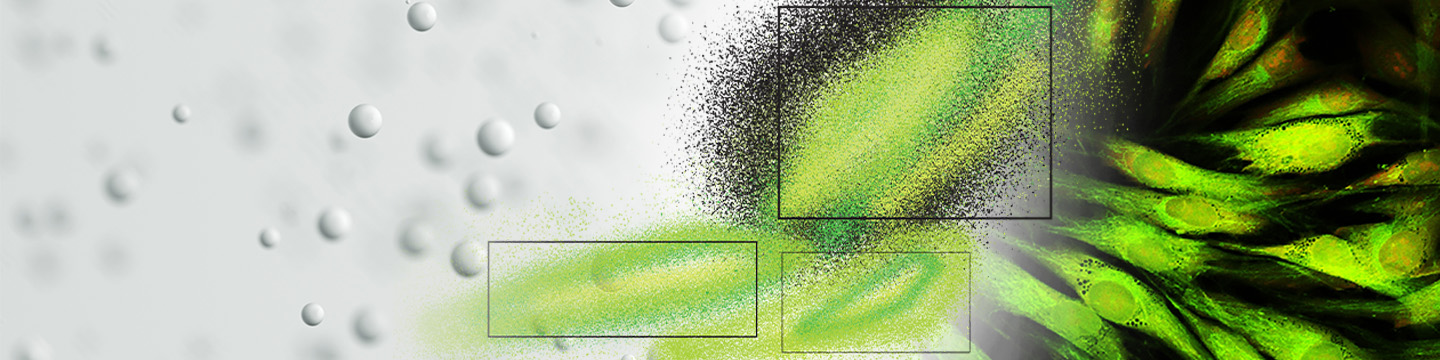 Bangs Laboratories 25