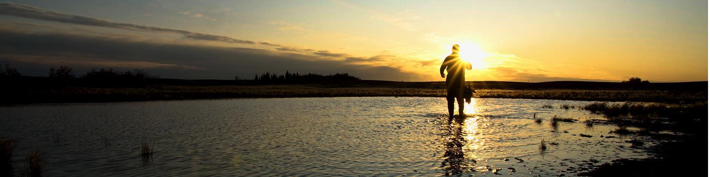 Black Dog Outfitters 754