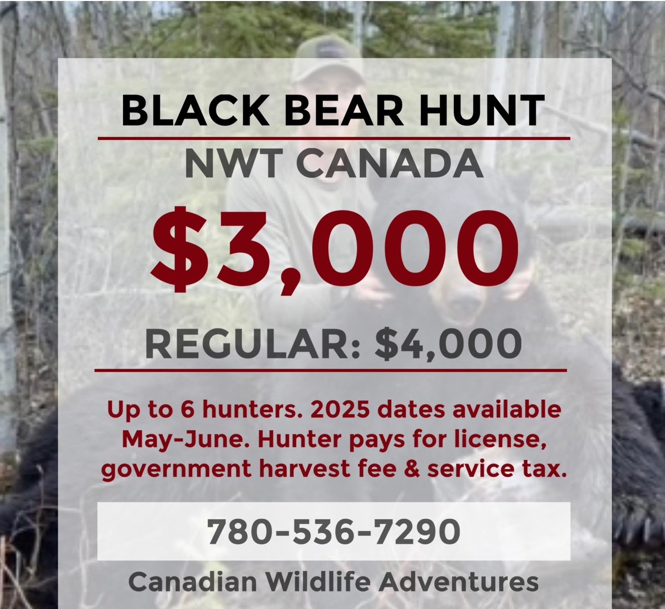 Black Bear Hunt Northwest Territories Spot & Stalk 312