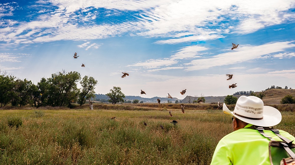 The Best of the West 331