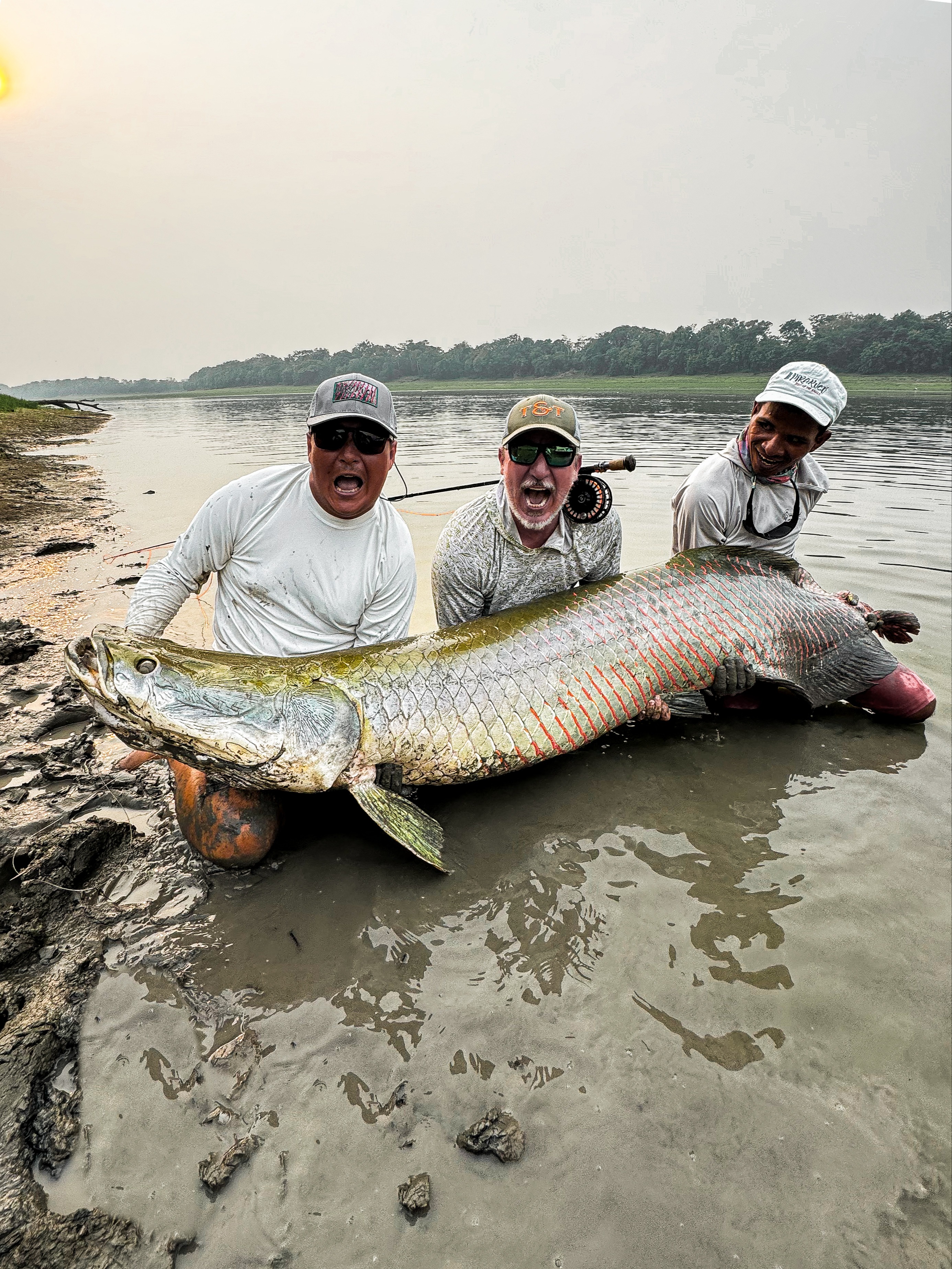 Book Giant Arapaima trip with us in 2025 season and get a special discount! 334