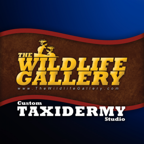 The Wildlife Gallery 93