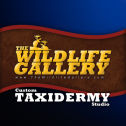 The Wildlife Gallery 93