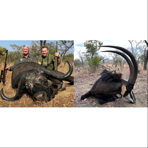 10 Day Buffalo Plainsgame Safari 2 x 1 with the Niassa Safari Company 105