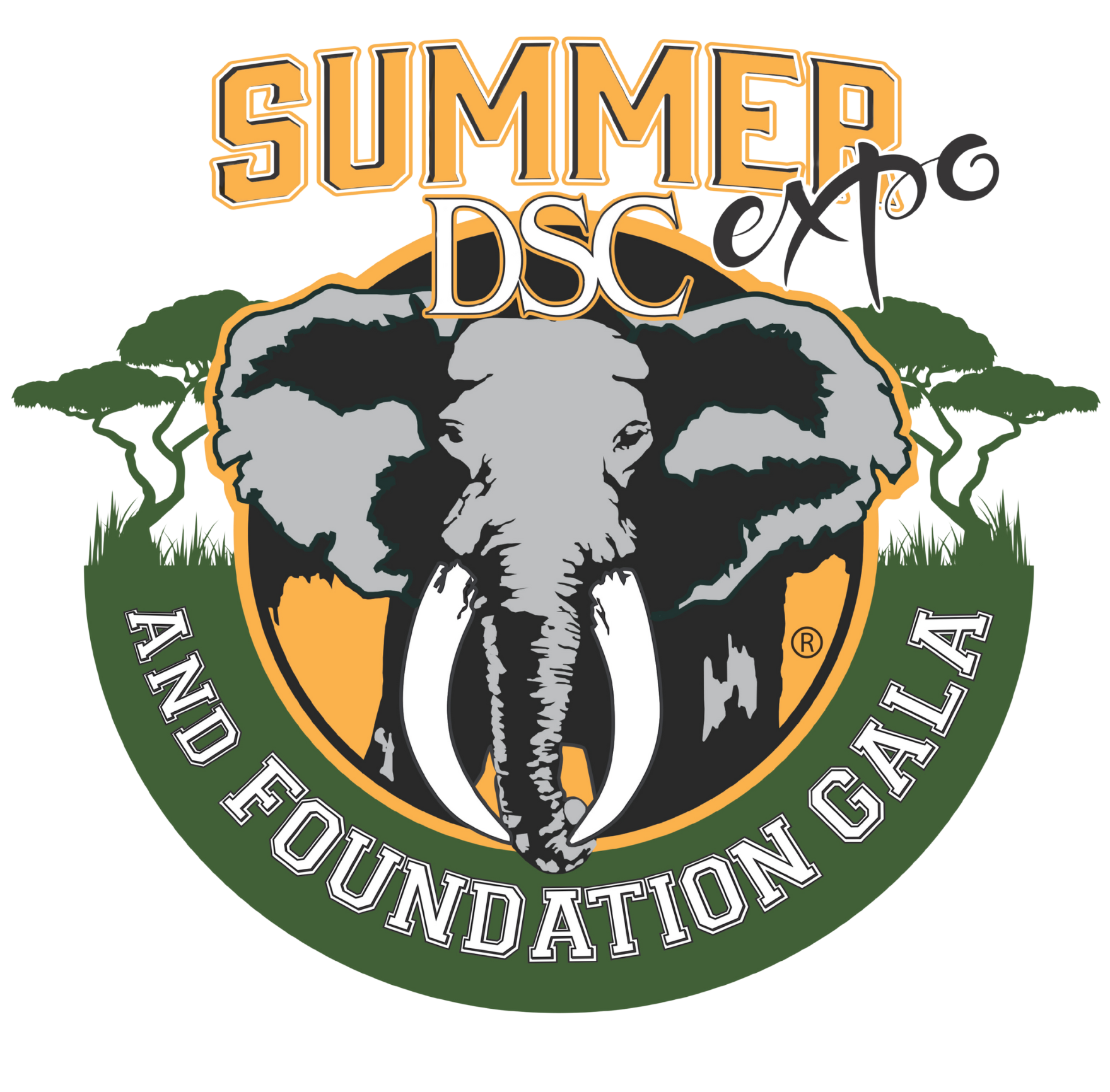 Welcome to 2025 DSC Summer Expo &amp; Gala