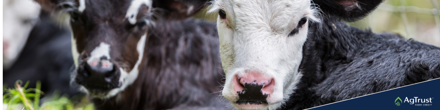 AgTrust Farm Credit 149