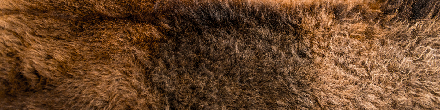 Great Plains Land Company 273