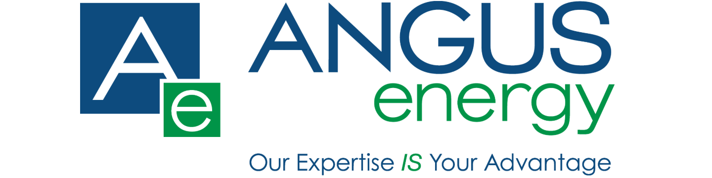 Angus Energy 173