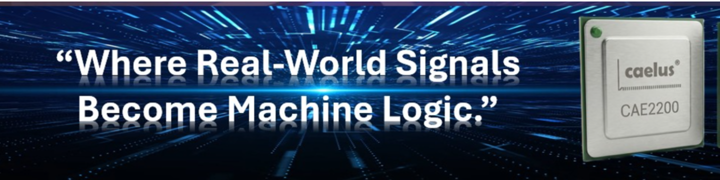Caelus Technologies Limited 373