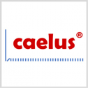 Caelus Technologies Limited 373