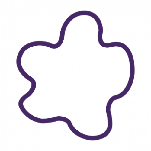 American Portwell Technology, Inc. 137