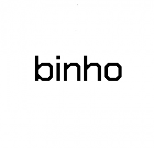 Binho, LLC 161