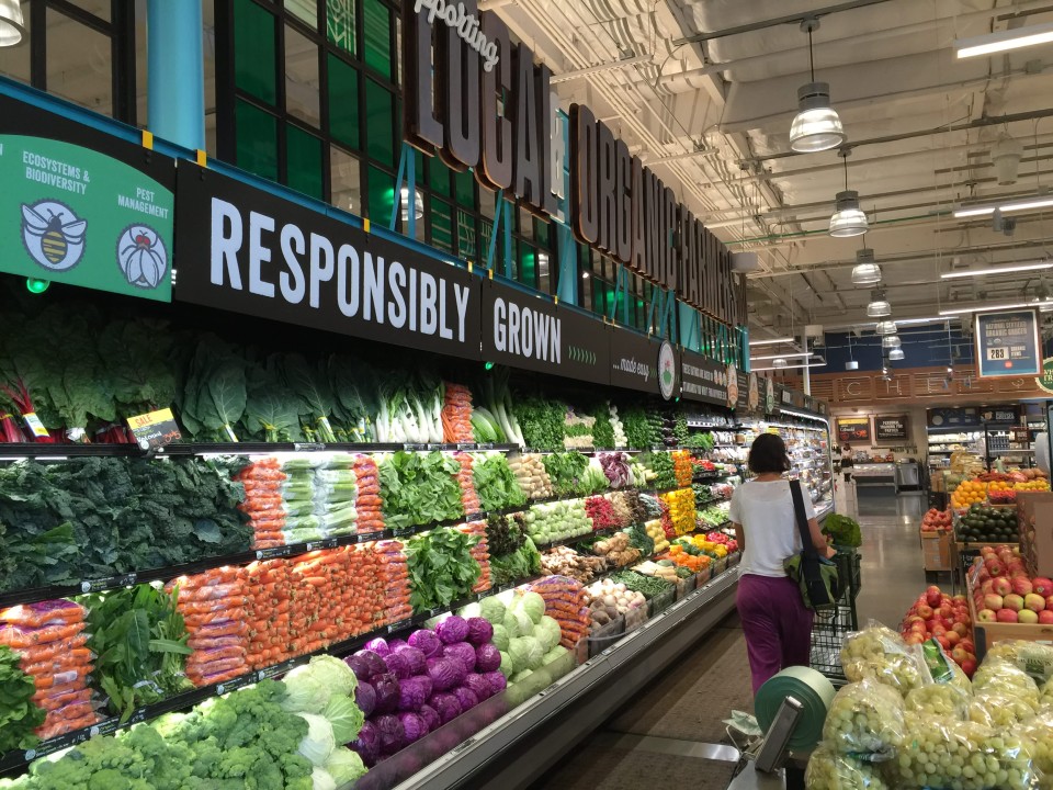 Sustainable Success: Navigating the Green Wave in Product Marketing 218