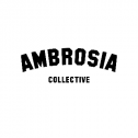 Planta by Ambrosia Collective 2842