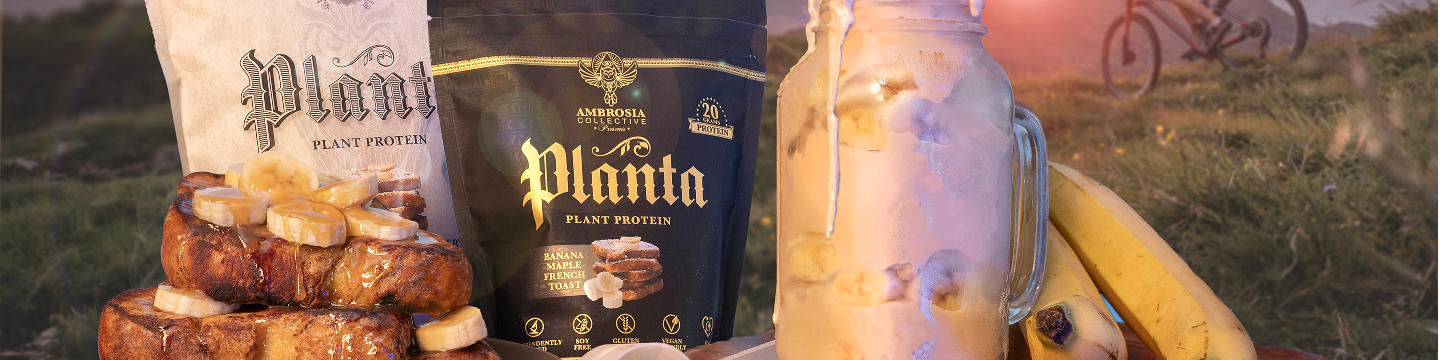 Planta by Ambrosia Collective 2842